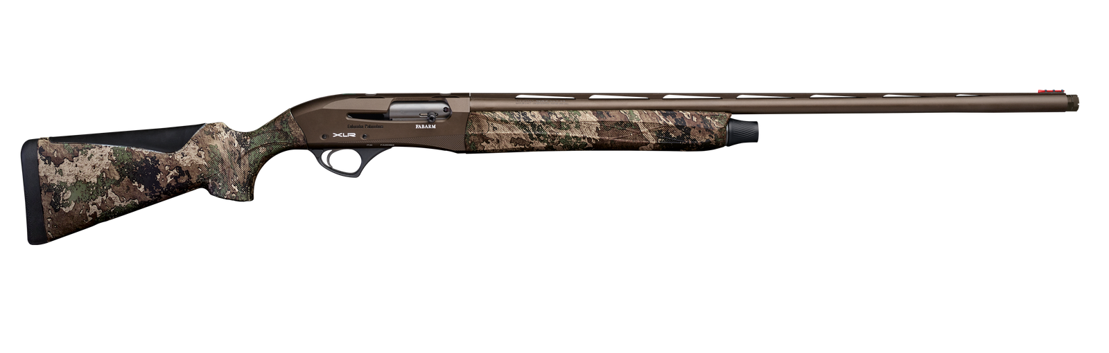 zoom_xlr_columba_palumbus_zoom_7